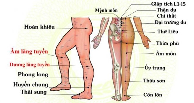 Cách Bấm Huyệt Kích Thích Sinh Dục